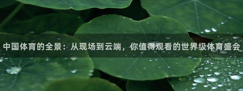 88看球网nba在线直播观看：中国体育的全景：从现场到云端，你值得观看的世界级体育盛会