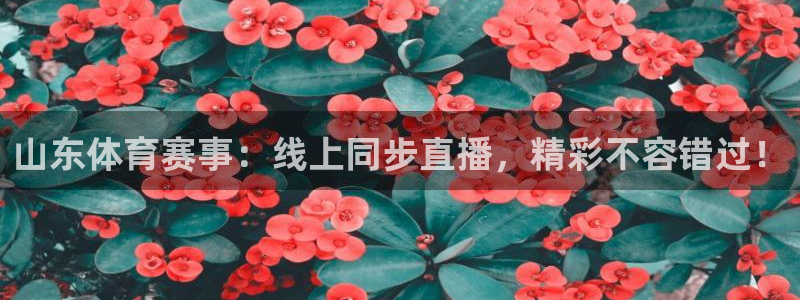 nba直播吧88看球：山东体育赛事：线上同步直播，精彩不容错过！