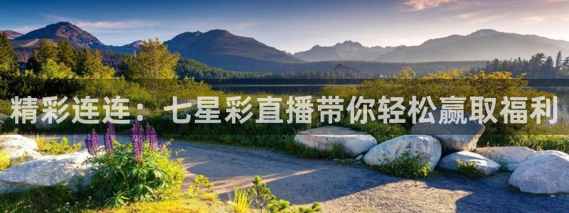88看球直播网：精彩连连：七星彩直播带你轻松赢取福利
