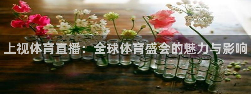 88看球在线直播观看：上视体育直播：全球体育盛会的魅力与影响