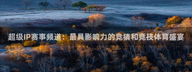 88看球直播平台：超级IP赛事频道：最具影响力的竞猜和竞技体育盛宴