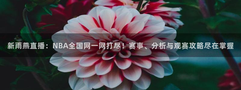nba直播免费观看直播在线88看球：新雨燕直播：NBA全国网一网打尽！赛事、分析与观赛攻略尽在掌握