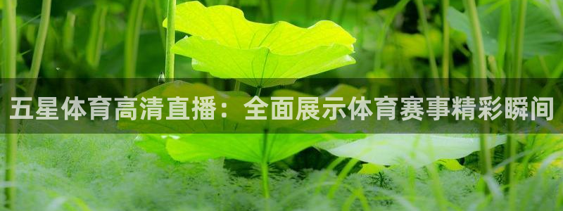 88看球免费直播：五星体育高清直播：全面展示体育赛事精彩瞬间