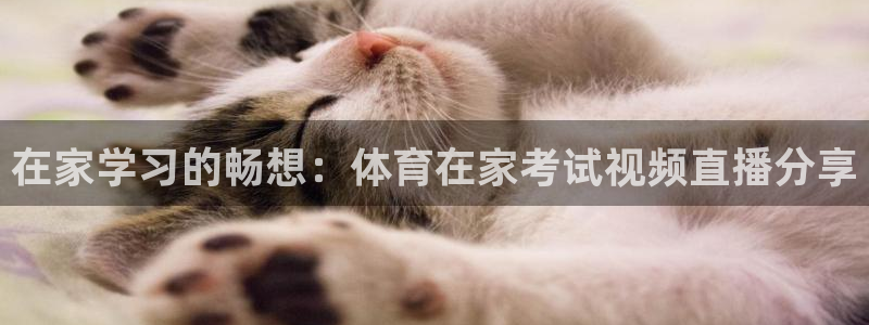 nba直播免费观看直播在线88看球：在家学习的畅想：体育在家考试视频直播分享