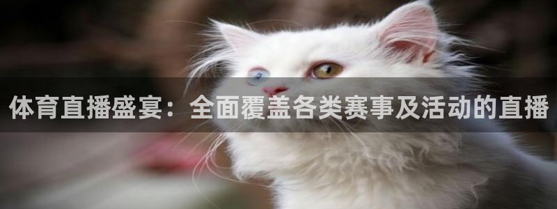 88看球nba线上直播：体育直播盛宴：全面覆盖各类赛事及活动的直播