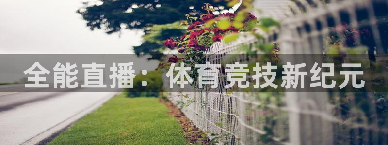 nba88看球在线直播：全能直播：体育竞技新纪元