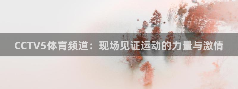 88看球nba直播免费：CCTV5体育频道：现场见证运动的力量与激情